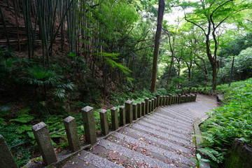 Fototapeta premium ◉Landscape of Iwashimizu Hachimangu◉