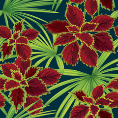 Obraz premium Tropical seamless pattern of coleus leaves with palm leaf background. Vector set of exotic tropical garden for holiday invitations, greeting card and fashion design.