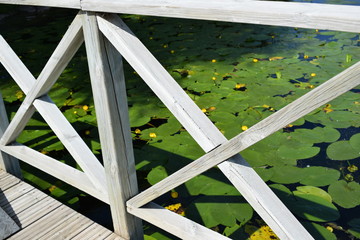 wooden bridge in park