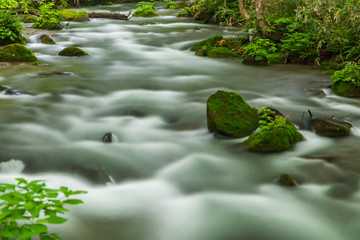 Fototapeta na wymiar The fresh green of Aomori Prefecture Oirase mountain stream