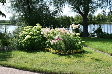 garden in spring