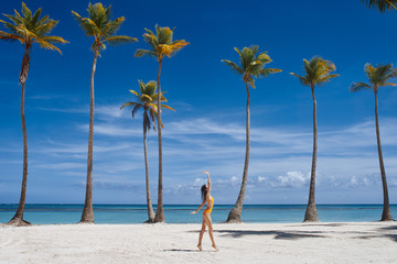 beach with palm trees