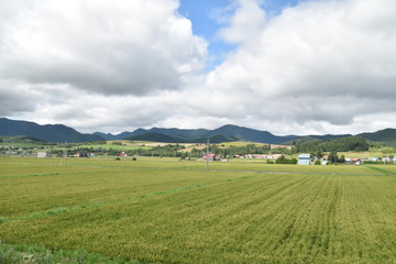 Fototapeta na wymiar Landscape with field and mountains in Hokkaido, Japan