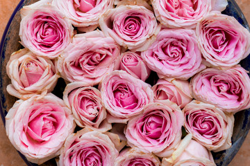 Pink roses as background texture.
