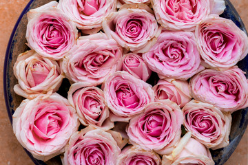 Pink roses as background texture.