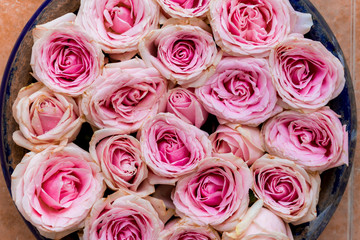 Pink roses as background texture.