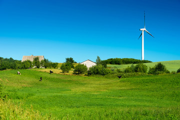 Fototapeta premium Green fields with wind turbines in Poland