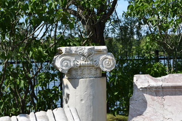 flowers in the garden and elements of the destroyed building, ruins