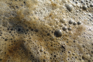 Foam filled bubbles on the lake shore