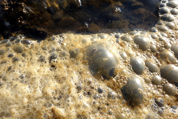 Fototapeta na wymiar Foam filled bubbles on the lake shore