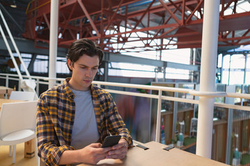 Male executive using mobile phone in office