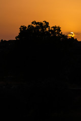 Stunning Silhouette Sunset, Sicilian Landscape, Italy, Europe