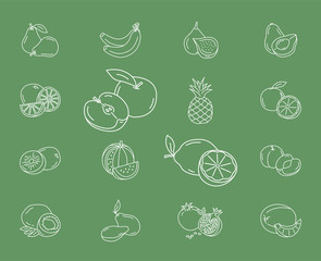 Fruit Icons set - Vector outline symbols of vegetarian food for the site or interface