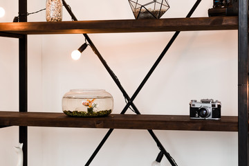 Wooden shelf in the room with an aquarium and decor