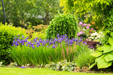 Piękne kwiaty w ogrodzie © Beenis