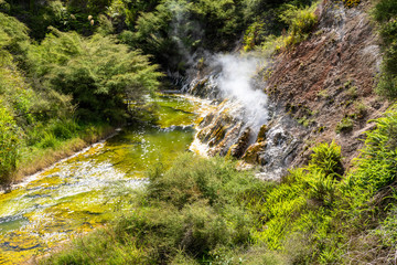 volcanic activities at waimangu