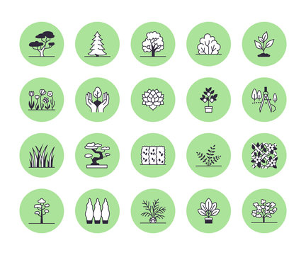 Trees flat line icons set. Plants, landscape design, fir tree, succulent, privacy shrub, lawn grass, flowers vector illustrations. Thin signs for garden store