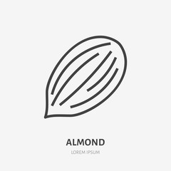 Almond flat line icon. Vector thin sign of nut, healthy food outline illustration