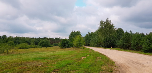 Road and forest