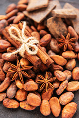 Cocoa beans and spices