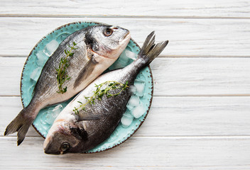 Fresh fish dorado