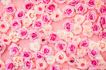 many paper rose buds on pink background