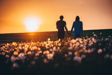 Couple holding hands and walking together on dandelions field. Spring orange sunset in background