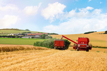 Obraz premium beautiful landscape with a combine harvester in action
