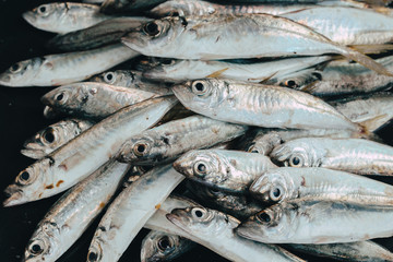 Obraz premium fresh fish at the market
