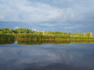 Wild nature. Landscape of a lake in the forest with beautiful water and waves.