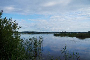 Wild nature. Landscape of a lake in the forest with beautiful water and waves.
