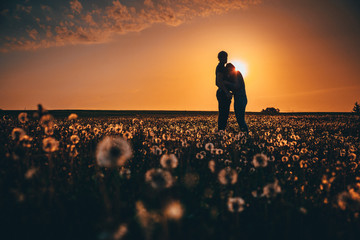 young couple kissing on the field of dandelions