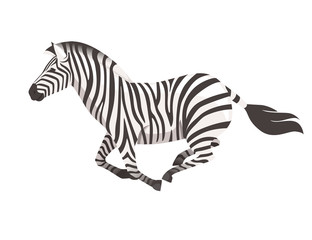 Fototapeta na wymiar African zebra running side view cartoon animal design flat vector illustration isolated on white background