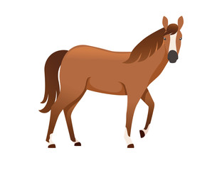 Brown horse wild or domestic animal cartoon design flat vector illustration isolated on white background