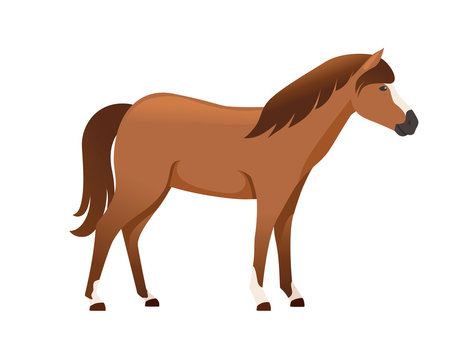 Brown horse wild or domestic animal cartoon design flat vector illustration isolated on white background