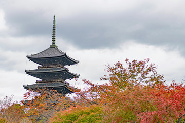 Obraz premium 古都京都 東寺の秋景色