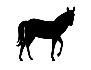 Black silhouette horse wild or domestic animal cartoon design flat vector illustration isolated on white background