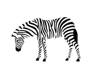 Obraz na płótnie Canvas African zebra side view outline striped silhouette animal design flat vector illustration isolated on white background
