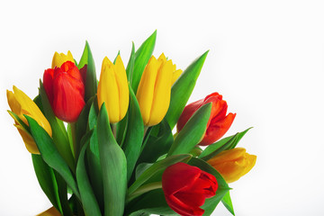Bouquet of fresh red and yellow tulips on white background.