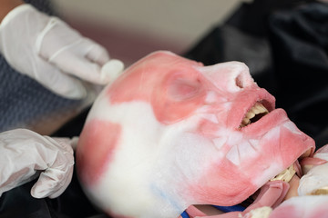 Study anatomy Human and Histological sample of Human model in the laboratory.