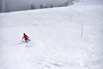 Skier in winter landscape. Sport photo, white edit space