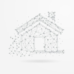 Real estate house with plexus structure