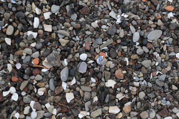 lot of pebbles an shells on the beach