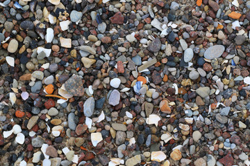 lot of pebbles an shells on the beach