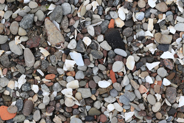 lot of pebbles an shells on the beach
