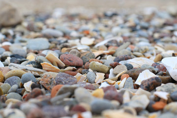 shells and pebbles on the beach unfocused background