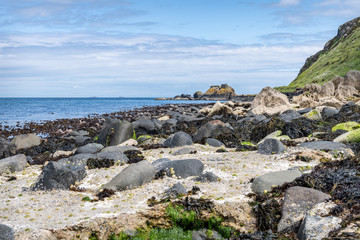 Fototapeta na wymiar Antrim Coastline, Ballygally, Antrim, Northern Ireland