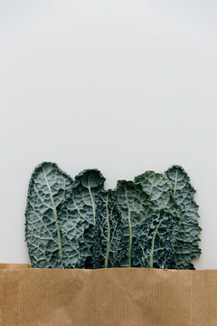 Cavolo nero or black kale sticking out of a brown paper bag from the grocery store.