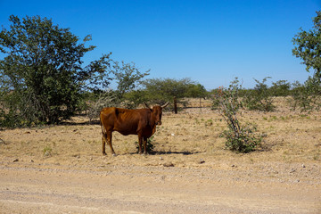 Namibia Afrika Landschaft