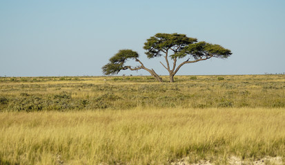 Namibia Afrika Landschaft